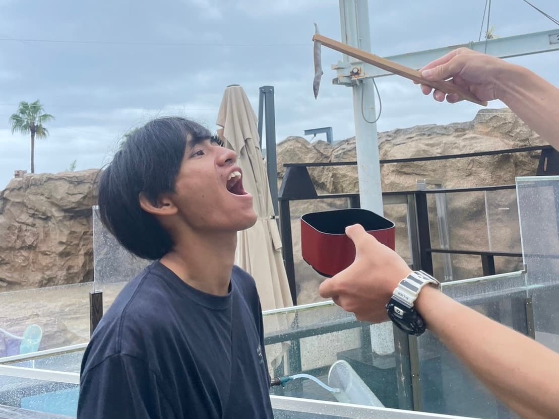 藤田悠馬