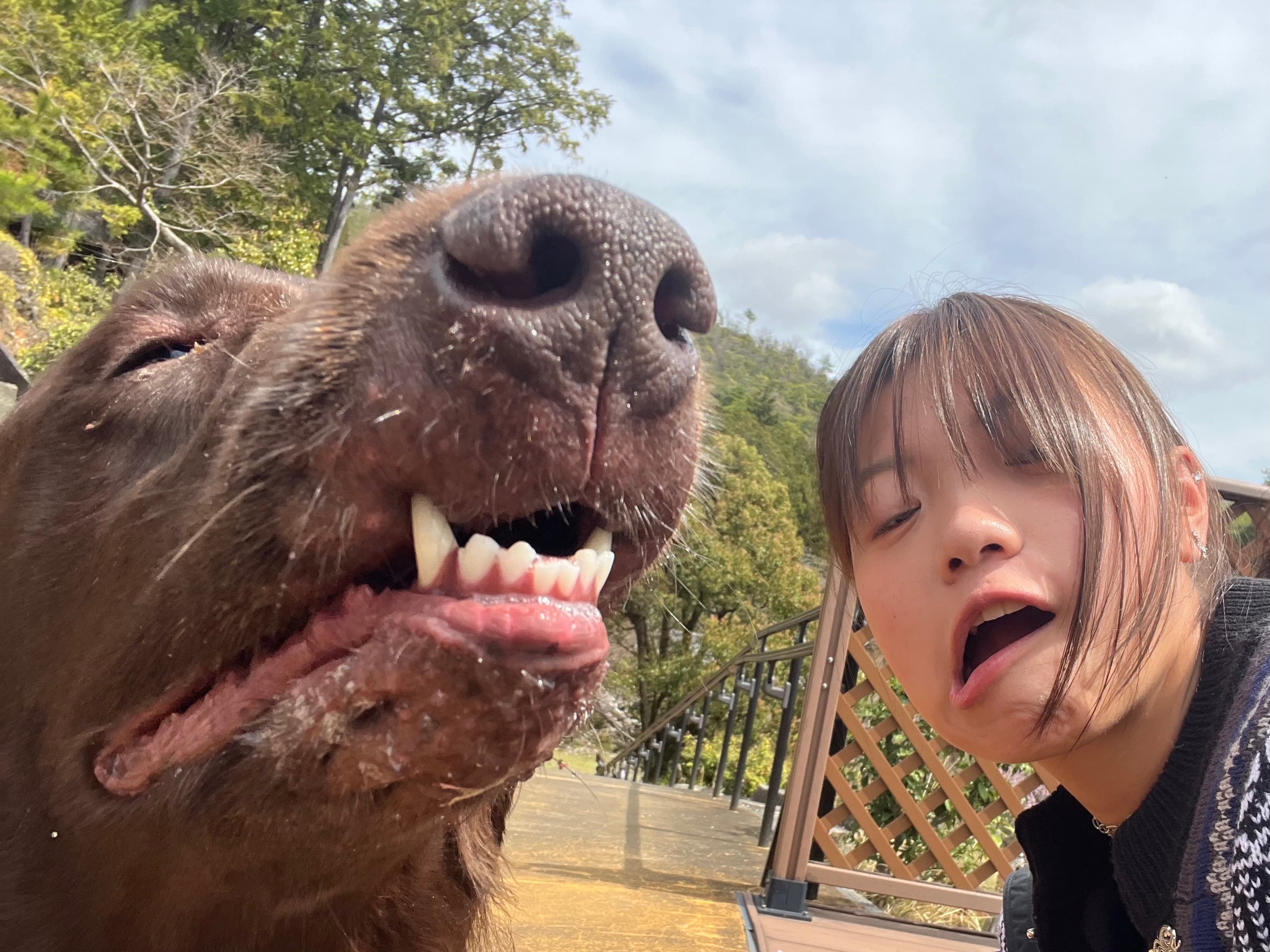 杉本さらね